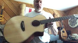 Video thumbnail for Breedlove Pursuit-12 12-String Electric-Acoustic Guitar by Flowforth Instruments