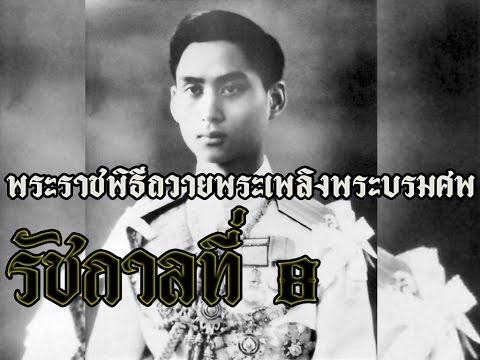 เส้นเลือดขอดในถุงอัณฑะและความแข็งแรง เชื้อโรคม้าและผลกระทบต่อผู้หญิง