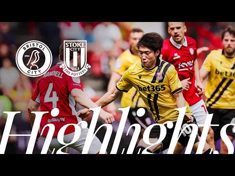 bg-highlight