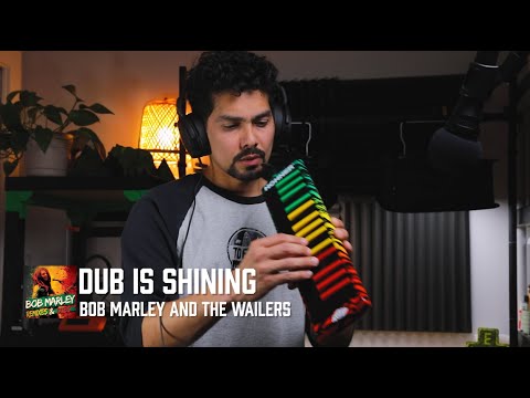 Dub Is Shining | Bob Marley Melodica Cover