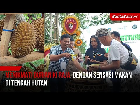 Menikmati Durian Ki Raja, Dengan Sensasi Makan Di Tengah Hutan