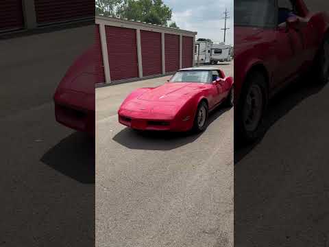 1981 Chevrolet Corvette (CC-1975726) for sale in Waterford, Michigan