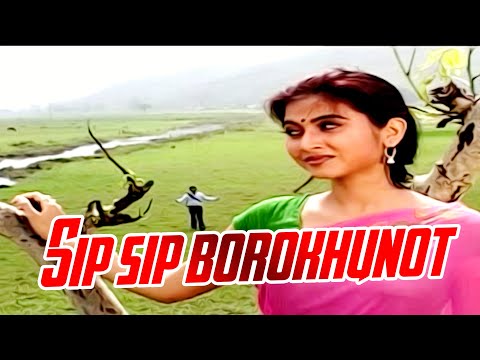 SIP SIP BOROKHUNOT | LAJUKI MON | ASSAMESE VIDEO SONG | ZUBEEN GARG | AIMEE BARUAH