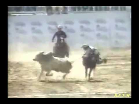 ARMANDO MARTINEZ   COLEADORES GUARIQUEÑOS