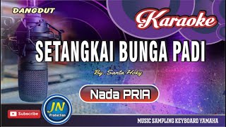 Download lagu Setangkai Bunga Padi_Karaoke Dangdut Keyboard_Nada Pria_By.Santa Hoky mp3