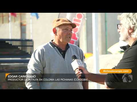 Edgar Carignano, productor de alfalfa en Colonia Las Pichanas (Córdoba)