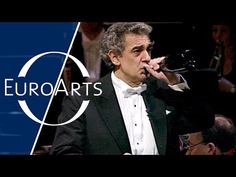 Plácido Domingo & Leontina Vaduva: Donizetti - Caro L'elisir from "L'Elisir d'Amore"