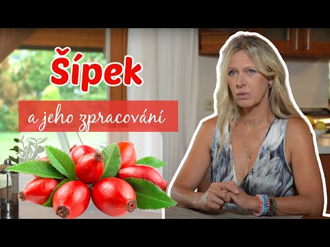 Šípek: Čím je prospěšný pro naše zdraví? Herbalistka prozradí i nejčastější formy zpracování