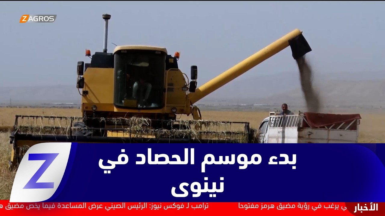 فيديو | نينوى..   بدء موسم الحصاد في المحافظة والخوف من الحرائق يسيطر على المشهد