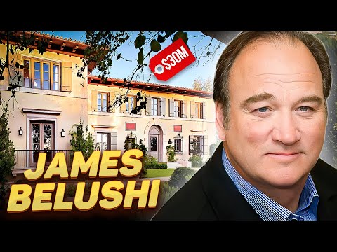 James Belushi | What Happened to the Star of K-9 and Where He Spends His Millions