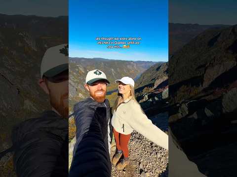 A magical encounter with this curious fox in Quebec 🦊 #quebec #hikingadventures #explorecanada