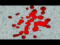 FIXED Ricola Csupo Effects