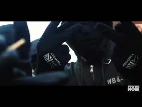 (CGE) S13 x (Ngang) AbzSav x NitoNB - Drillings