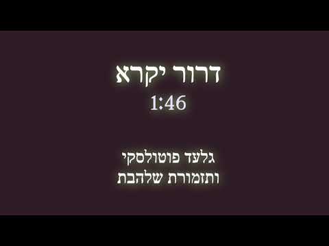 דרור יקרא [2] l תזמורת שלהבת - Shalhevet Orchestra - Dror yikra