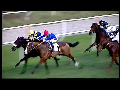 Galoppo 24/12/2020 - 1ª corsa