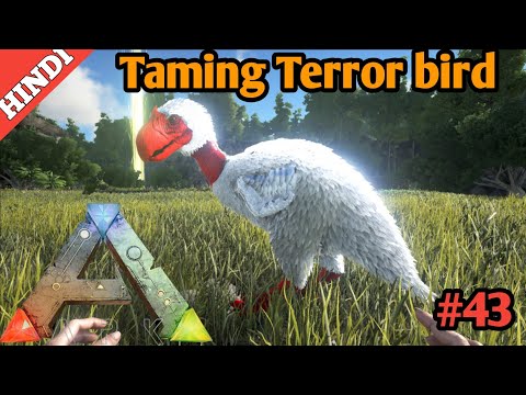 Ark survival evolved mobile : taming terror bird 🦅 | #43 | hindi | ark mobile |🔥