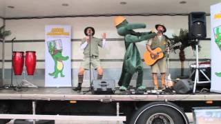 Aarne Alligaattori & viidakkorumpu!