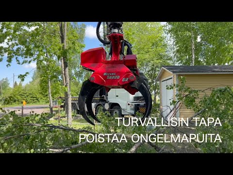 Tree removal with a Mecanil grapple saw and knuckle boom crane truck