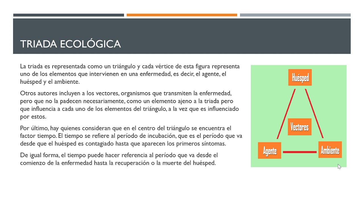 Enfermería. Fundamentos. Triada Ecológica  Elementos
