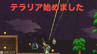 テラリア始めました　ヨシエ視点