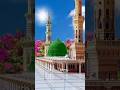 Yun To Jannat Me Sab Hai Madina Nahi Aur Jannat Madine Respect Islam Whatsappstatus Viral Yt