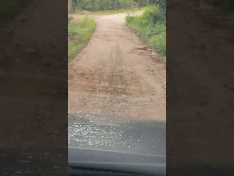Pedra Chata - Guaraqueçaba -PR