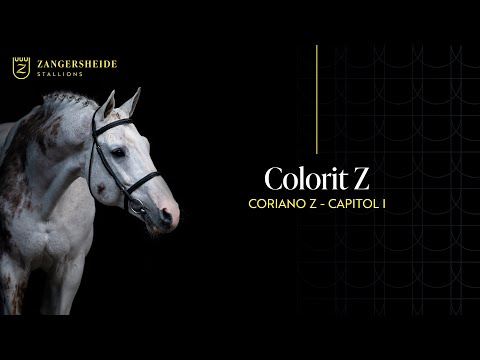 Colorit Z - Hengstpräsentation 2025 GER