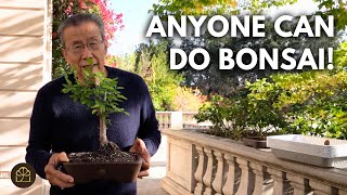 Introduction to the Practice of Lifestyle Bonsai