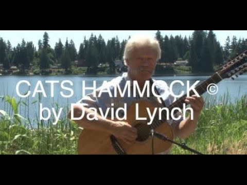 Promotional video thumbnail 9 for Rainier Riff, acoustic trio (guitar, bass, congas)