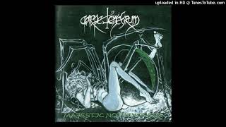 Carpe Tenebrum  -  Majestic Nothingness  Full album  1997