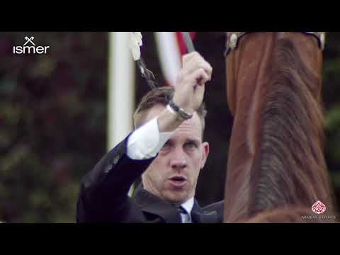 N 167 HAGRAS AL SHAQAB   Strohen 2020 International Show   4 6 Years Old Stallions Class L