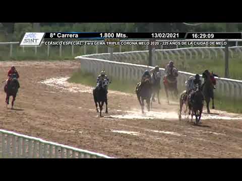 210213 c08 1° ALGO BUENO - SINT MELO-