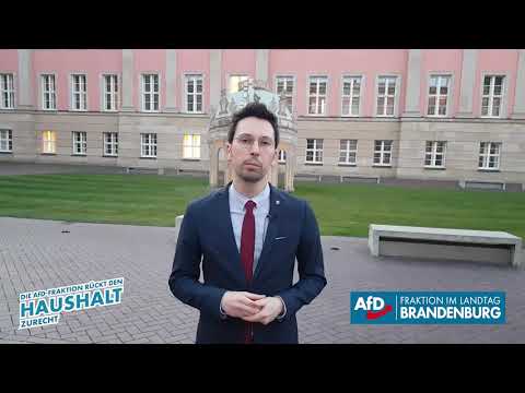 Dennis Hohloch: Refugee-Teachers-Programm streichen!