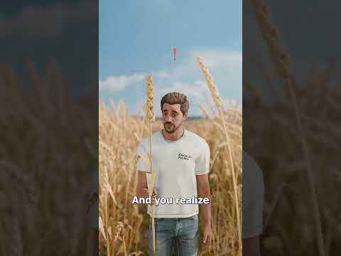 How To Make The Right Choice At The Right Time 🤔