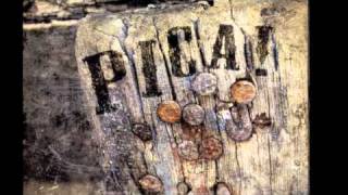 Davide Van De Sfroos - L'Alain Delon de Lenn