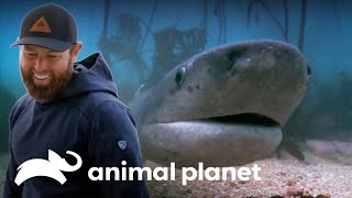 Thumbnail del capítulo