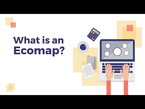 What Is An Ecomap