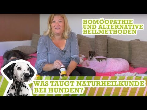 Die Lotion klawio von der Schuppenflechte der Nägel Die Schuppenflechte bei grudnitschka auf dem Kopf