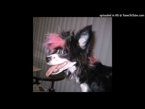 [SOLD] EXTREME PUNK ROCK x NASCAR ALOE x ELECTRO PUNK TYPE BEAT - "emodawg" (prod. plucksunset)