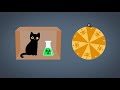 What is Schrödinger’s Cat?