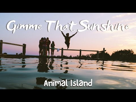 Gimme That Sunshine - Animal Island