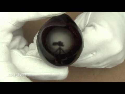 pipa Peterson Ashford XL23 - pipe 1232