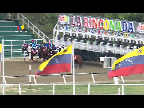 12th race | 5th leg | GUILLERMINA | La Rinconada Racecourse | Meeting 43 | 2025