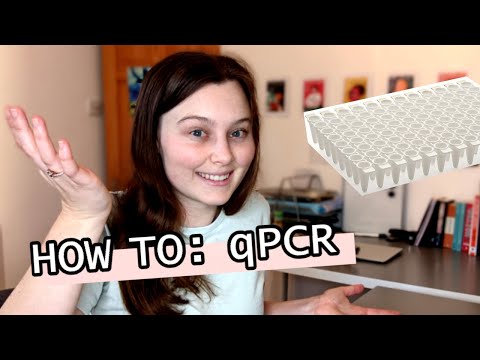 HOW TO: qPCR | Tutorial video | Follow a scientist doing a qPCR