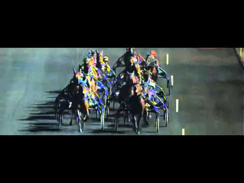 Prix Gaston Brunet 2013_Vigove 1:13,1_P. Vercruysse