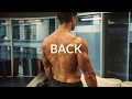 Workout Theory: Back | Pietro Boselli