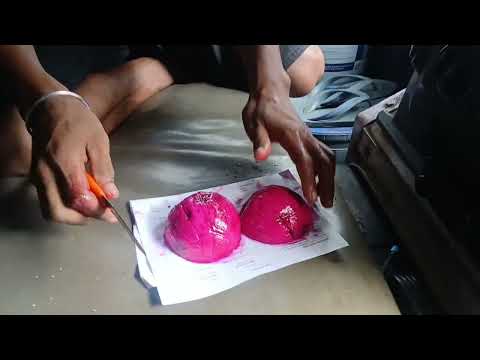 Dragon fruit # red Dragon fruit, youtube short video,