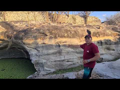 Tanque das susuaranas município da cidade Damião PB 