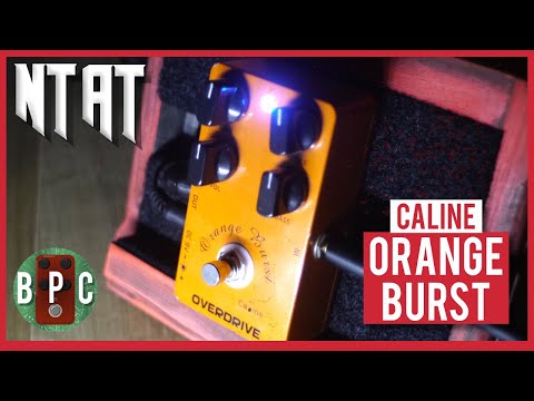 The Best Seller, but for good reason? - Caline Orange Burst - No Talk, All Tone