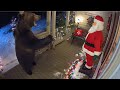 🎄 CCTV camera caught: Bears scared by Christmas decorations. Part 2